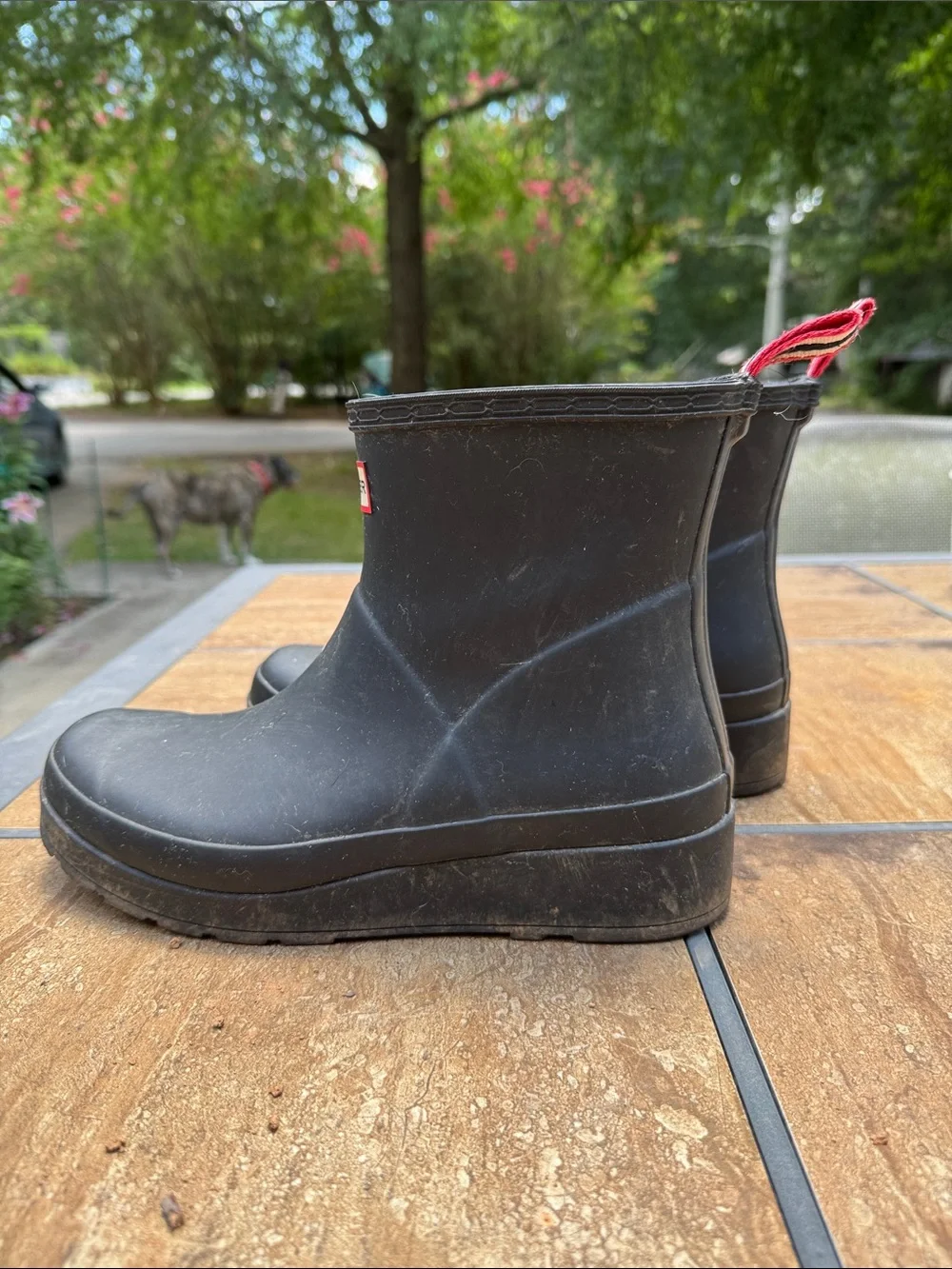 Hunter Women Short Black Rain Boots with Red Heel Pull